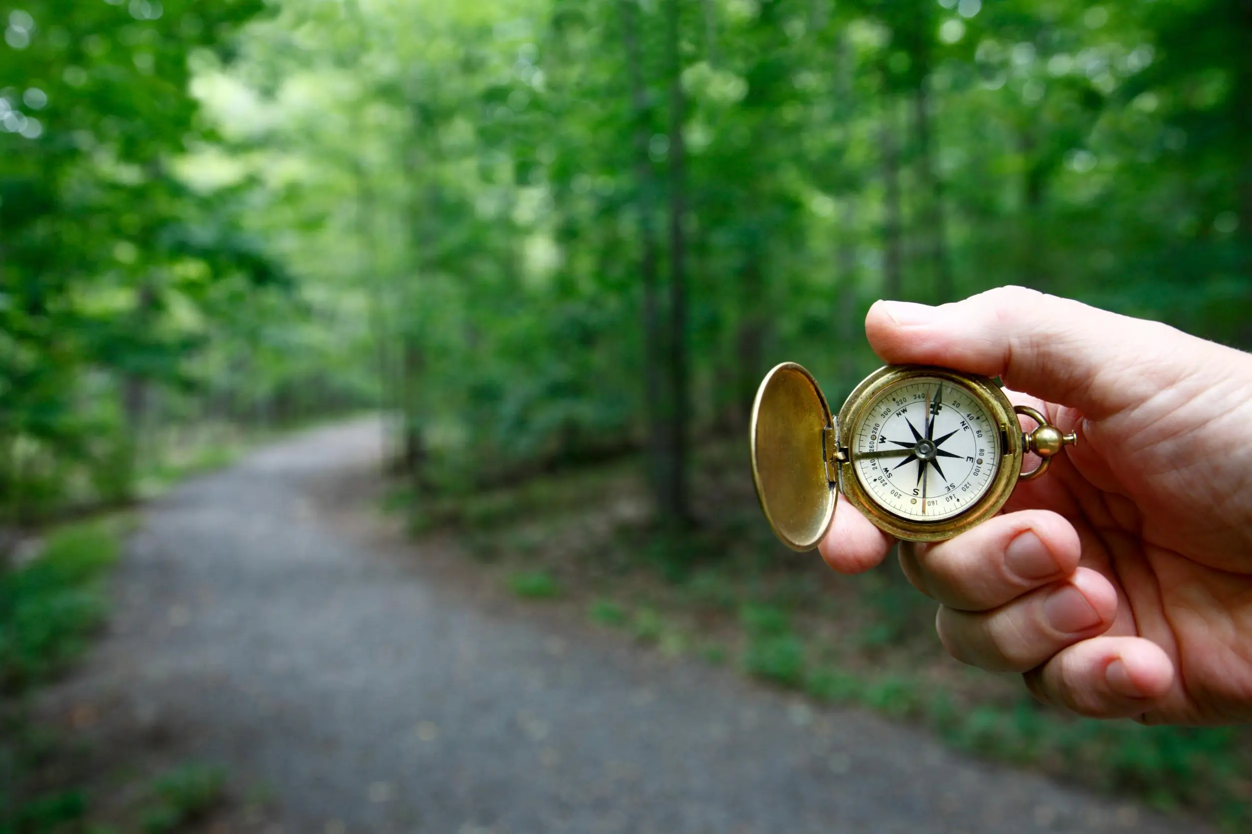 Compass being held in the woods